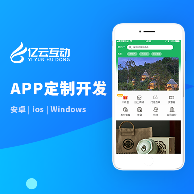 APP定制开发