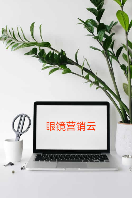 CRMEB应用市场 | 眼镜云管理系统